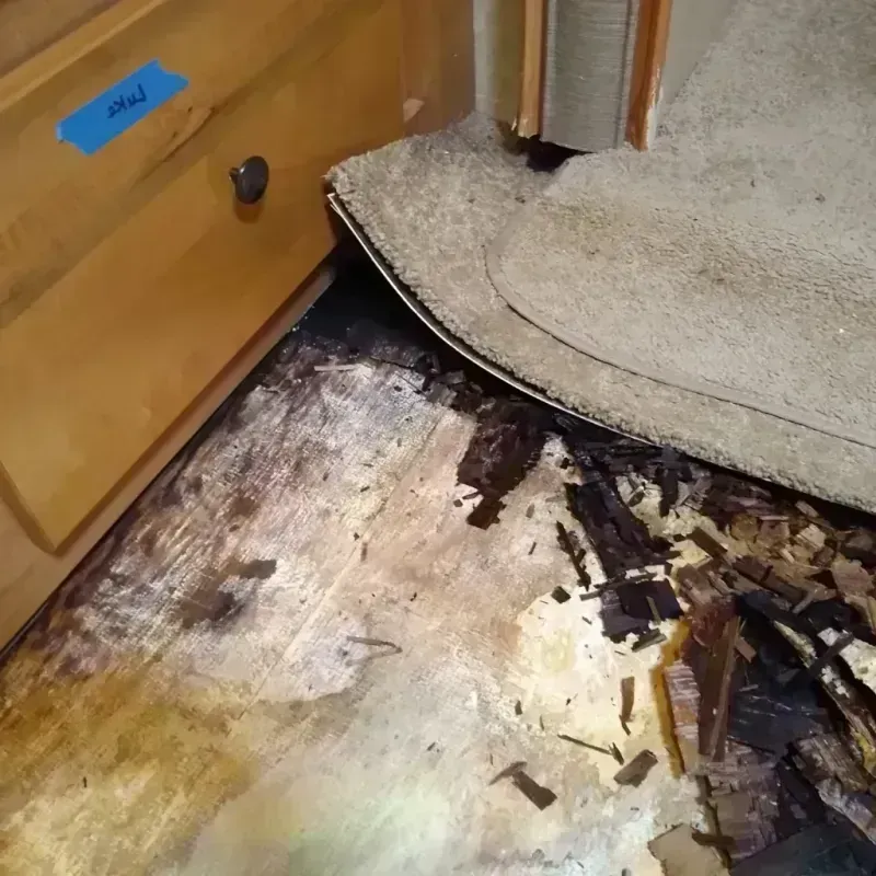 Wood Floor Water Damage in Hugo, OK